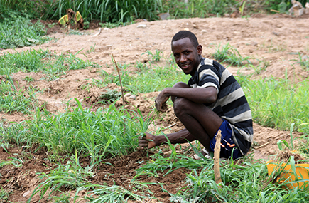 Working on a community-led seedlings nursery project in Somali region, Ethiopia © Malini Morzaria/EU/ECHO